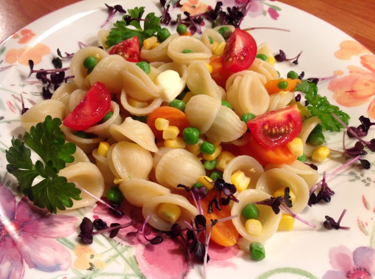 Pasta and mixed vegetables